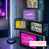 Disney 100 L'Amitié c'est Merveilleux