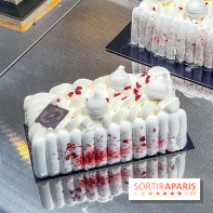 Le glacier Gérard Taurin à Paris - Meilleur Ouvrier de France - IMG 8729