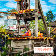 Disneyland Secrets visuels Frontierland