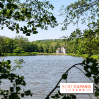 Balade nature dans la forêt de Montmorency, nos photos