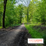 Balade nature dans la forêt de Montmorency, nos photos