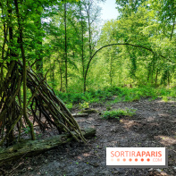Balade nature dans la forêt de Montmorency, nos photos