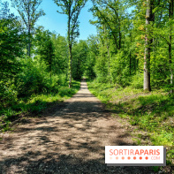Balade nature dans la forêt de Montmorency, nos photos