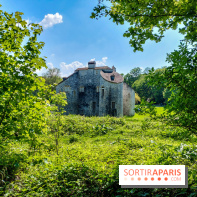 Balade nature dans la forêt de Montmorency, nos photos