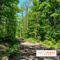 Balade nature dans la forêt de Montmorency, nos photos