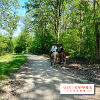 Balade nature dans la forêt de Montmorency, nos photos