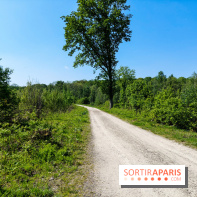 Balade nature dans la forêt de Montmorency, nos photos