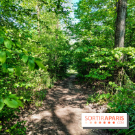 Balade nature dans la forêt de Montmorency, nos photos