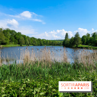 Balade nature dans la forêt de Montmorency, nos photos