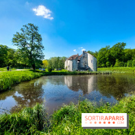 Balade nature dans la forêt de Montmorency, nos photos