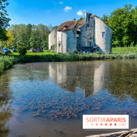 Balade nature dans la forêt de Montmorency, nos photos