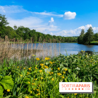 Balade nature dans la forêt de Montmorency, nos photos