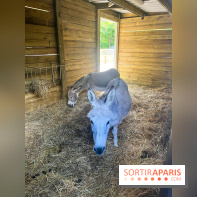 La ferme de la Villette et ses animaux