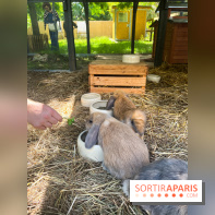 La ferme de la Villette et ses animaux