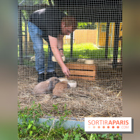 La ferme de la Villette et ses animaux