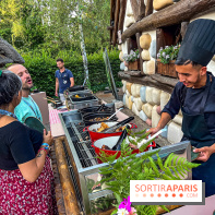 L'Été Gaulois au Parc Astérix  - IMG 9124