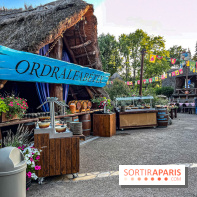 L'Été Gaulois au Parc Astérix  - IMG 9101