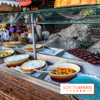 L'Été Gaulois au Parc Astérix  - IMG 9100