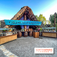 L'Été Gaulois au Parc Astérix  - IMG 9088