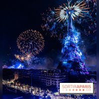 Feu d’artifice de Paris 2023 - photos  -  A7C8308