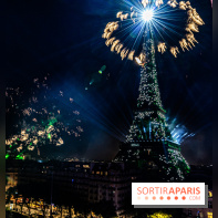 Feu d’artifice de Paris 2023 - photos  -  A7C8327