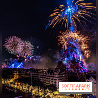 Feu d’artifice de Paris 2023 - photos  -  A7C8306