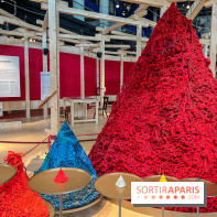 Urgence climatique, l'exposition permanente de la Cité des Sciences - image00011