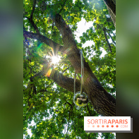 Grandeur nature, l'exposition contemporaine dans les Jardins du Château de Fontainebleau -  A7C9159