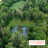 Montgolfière à Fontainebleau, vol au dessus de l'Ile-de-France -  A7C8986