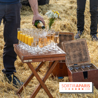Montgolfière à Fontainebleau, vol au dessus de l'Ile-de-France -  A7C9031