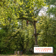 Ile de loisirs de Bois le Roi - base de loisirs