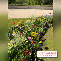 Le parc Kellerman, bijou de verdure dans le 13e arrondissement