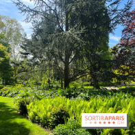 Le parc Kellerman, bijou de verdure dans le 13e arrondissement  - image00015