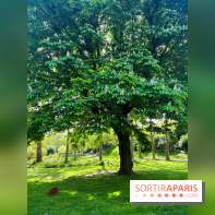 Le parc Kellerman, bijou de verdure dans le 13e arrondissement