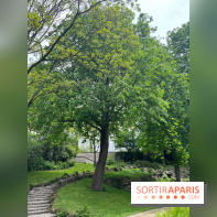 Le parc Kellerman, bijou de verdure dans le 13e arrondissement