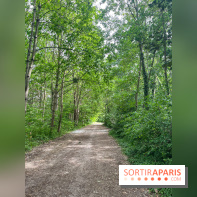 Cergy, la ville aux milles facettes