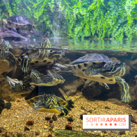 La Maison de la Pêche et de la Nature