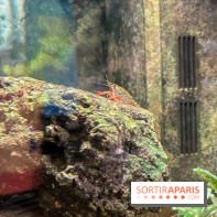 La Maison de la Pêche et de la Nature - image00009