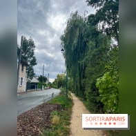 Le long de l'Oise, entre Auvers-sur-Oise et l'Isle-Adam