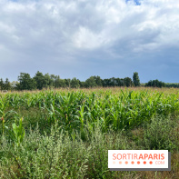 Le long de l'Oise, entre Auvers-sur-Oise et l'Isle-Adam - image00069