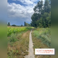 Le long de l'Oise, entre Auvers-sur-Oise et l'Isle-Adam