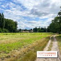 Le long de l'Oise, entre Auvers-sur-Oise et l'Isle-Adam