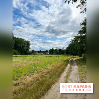 Le long de l'Oise, entre Auvers-sur-Oise et l'Isle-Adam
