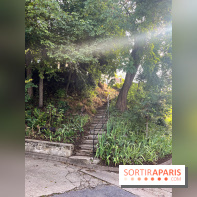 Le long de l'Oise, entre Auvers-sur-Oise et l'Isle-Adam - image00014