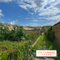 Potager du Roi