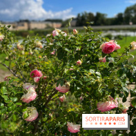 Potager du Roi - IMG 4189