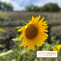 Potager du Roi
