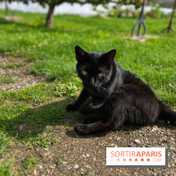 Potager du Roi - IMG 4217