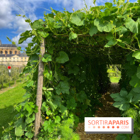 Potager du Roi