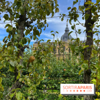 Potager du Roi